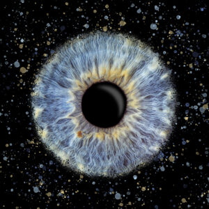 Iris_Caharel_Explosion-300x300 Front Page