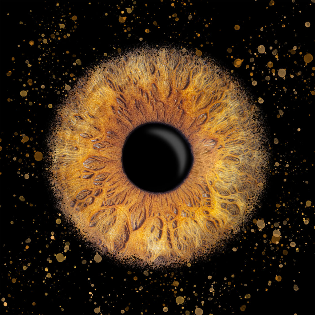 Iris_Anna_Explosion-1024x1024 Front Page