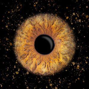 Iris_Anna_Explosion-300x300 Front Page