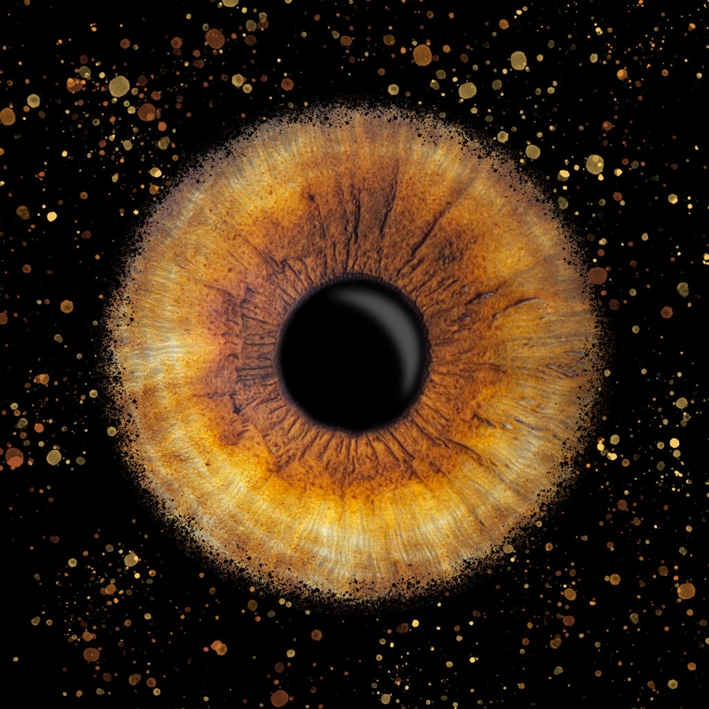 Coipeau_Maia_Vincent_Explosion-1024x1024 Front Page